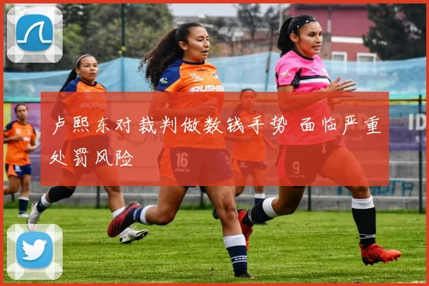 卢熙东对裁判做数钱手势 面临严重处罚风险