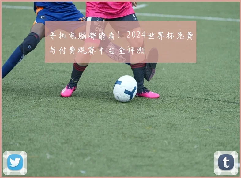手机电脑都能看!2024世界杯免费与付费观赛平台全评测