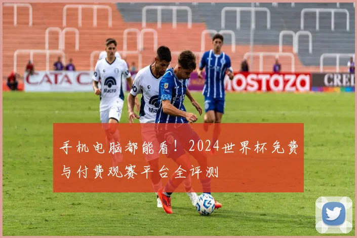 手机电脑都能看！2024世界杯免费与付费观赛平台全评测